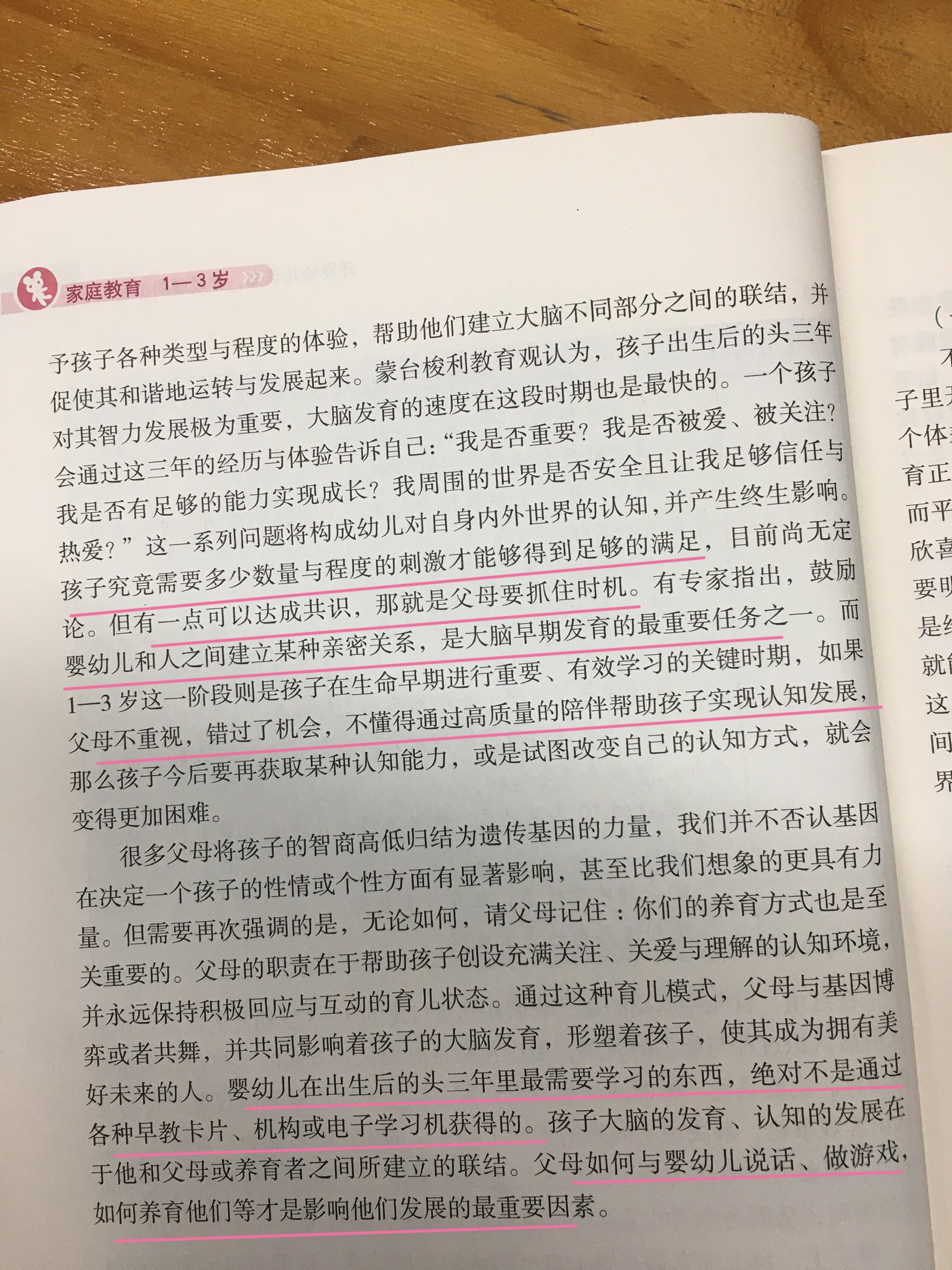 养成聪明小宝贝